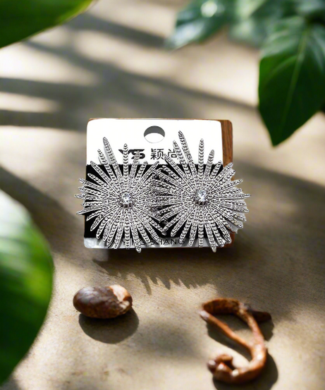 Crystal Shiny Earring