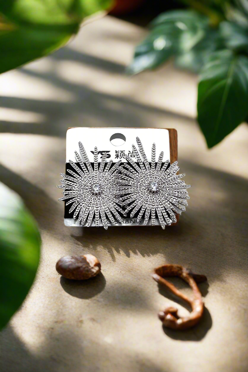 Crystal Shiny Earring