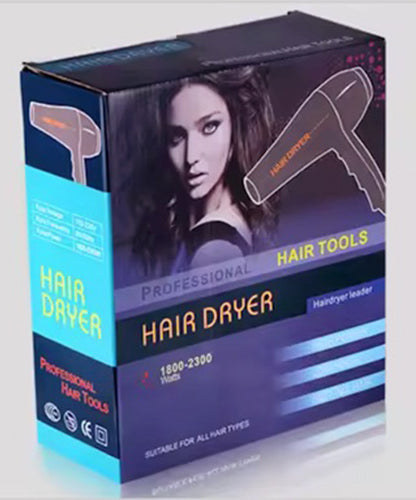 Professional Hair Dryer
