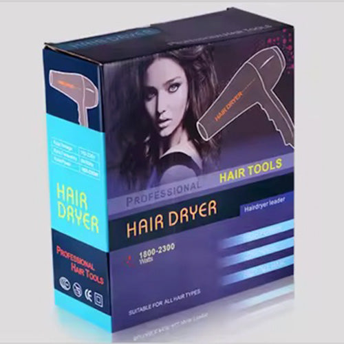 Professional Hair Dryer