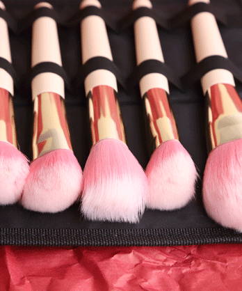 مجموعة فرش مكياج (١٥ قطعة)