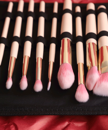 مجموعة فرش مكياج (١٥ قطعة)