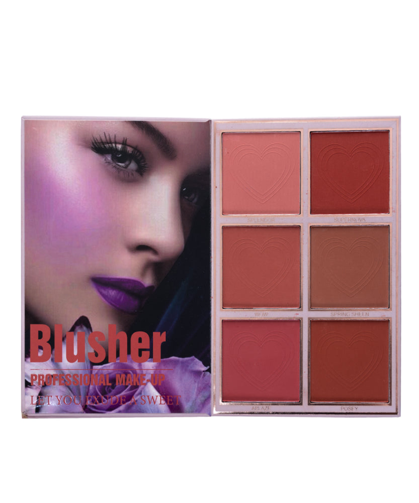 كتيب مكياج كريستين 5 في 1-ظلال العيون و Highlighter & Blusher & Lipstick & Coft