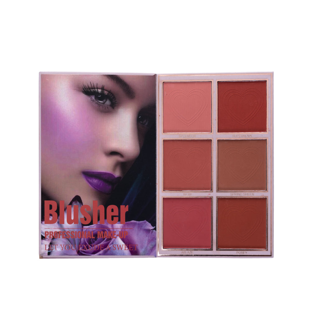 كتيب مكياج كريستين 5 في 1-ظلال العيون و Highlighter & Blusher & Lipstick & Coft