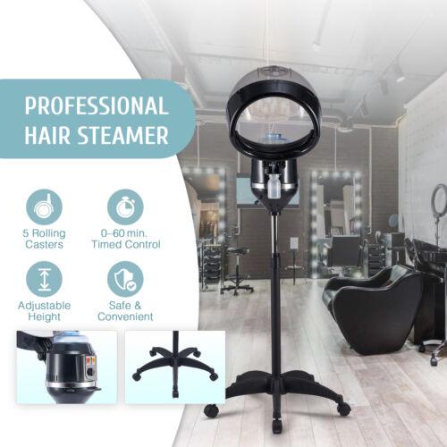 Professional Hair Steamer 2 In 1
