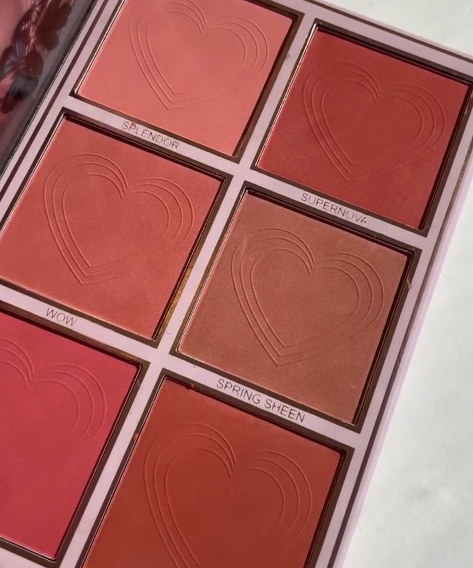 كتيب مكياج كريستين 5 في 1-ظلال العيون و Highlighter & Blusher & Lipstick & Coft