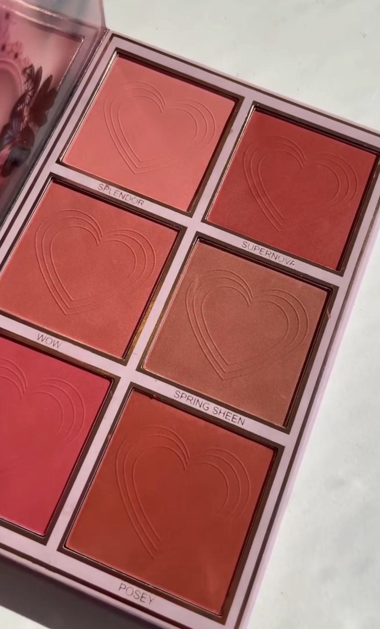 كتيب مكياج كريستين 5 في 1-ظلال العيون و Highlighter & Blusher & Lipstick & Coft