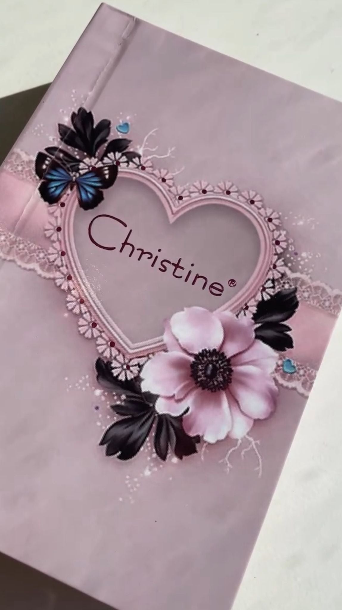 كتيب مكياج كريستين 5 في 1-ظلال العيون و Highlighter & Blusher & Lipstick & Coft