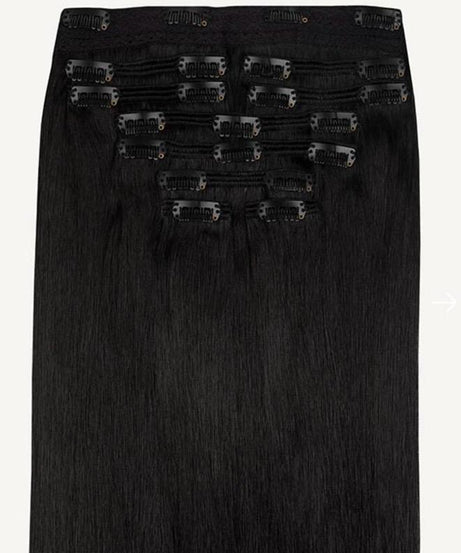 Natural Clip-In Hair Extensions