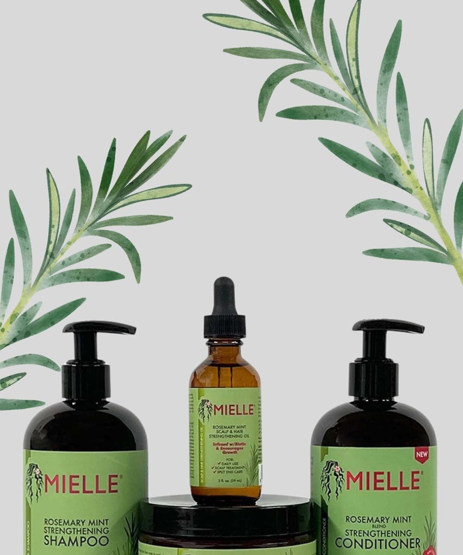 Mielle Rosemary Mint Organics Pack of 4 ( Shampoo + Conditioner + Mask + Oil )