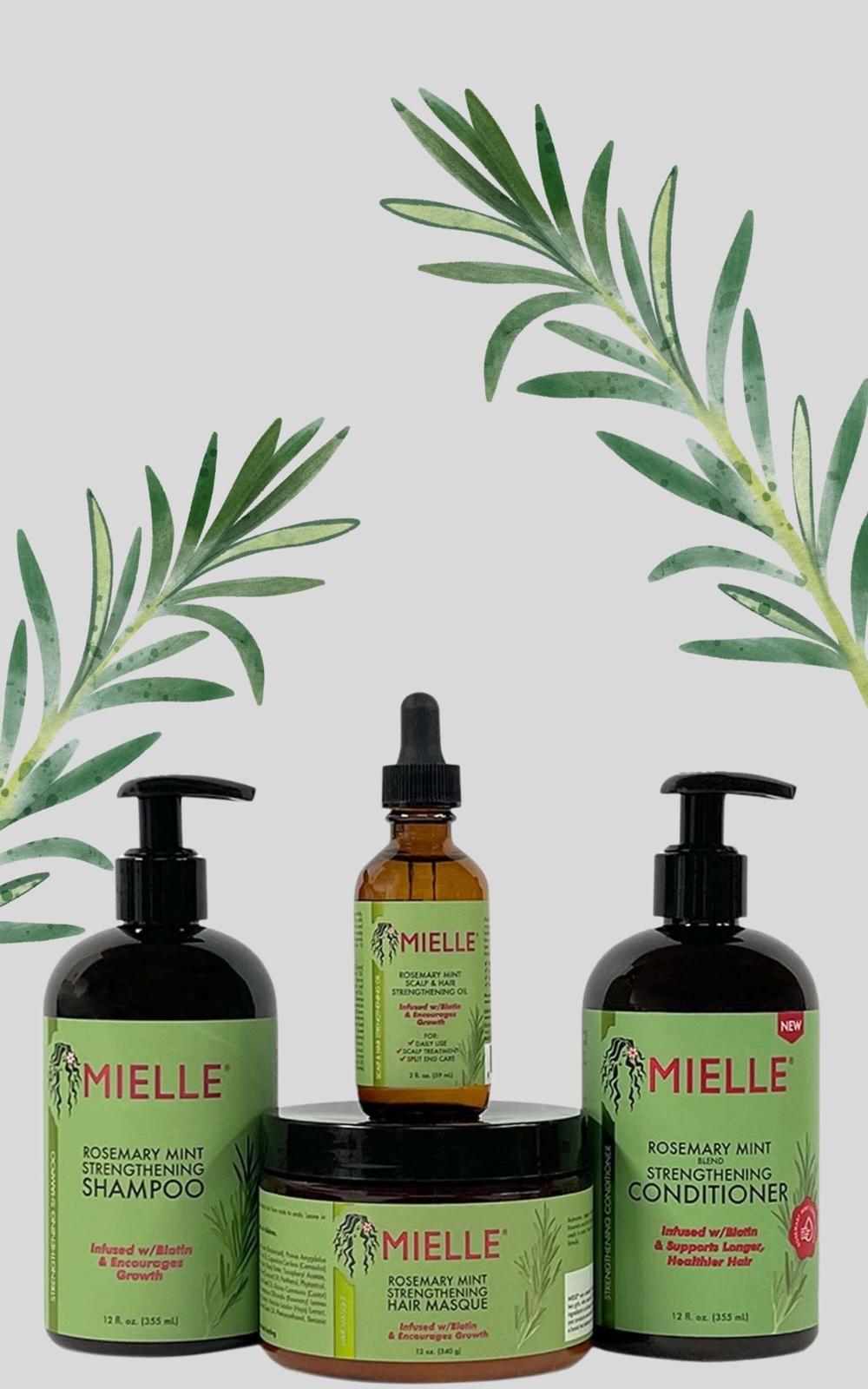 Mielle Rosemary Mint Organics Pack of 4 ( Shampoo + Conditioner + Mask + Oil )
