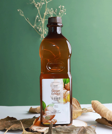GINGER EXTRACT MOISTURIZE MASSAGE OIL (1.1L)
