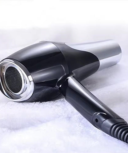 Professional Hair Dryer
