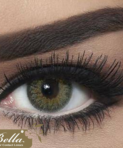 عدسات بيلا اللاصقة